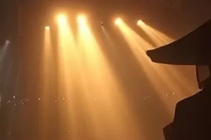生活纪录片《砖缝里的野花》墙根砖缝中探出的花